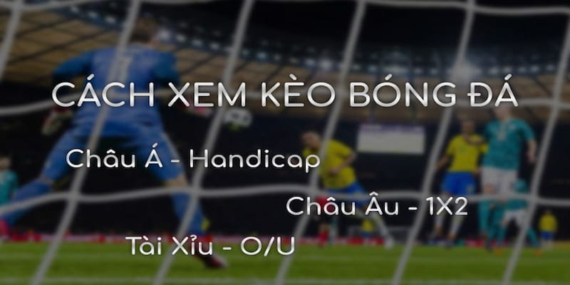 cách đọc kèo bóng đá Cách đọc kèo châu Á chi tiết cho người mới