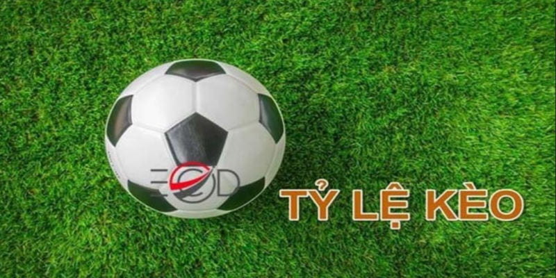 tỷ lệ kèo nhà cái Cách phân tích và chọn tỷ lệ kèo nhà cái hiệu quả
