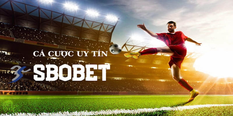 Giới thiệu tổng quan về Sbobet