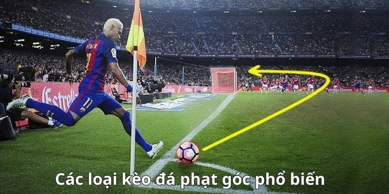 Kèo phạt góc Giới thiệu về kèo phạt góc trong cá cược bóng đá