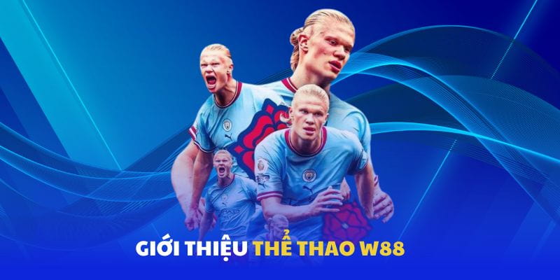 W88 Lý do W88 được cộng đồng cá cược ưa chuộng