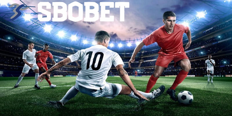 Lý do người chơi Việt tin tưởng Sbobet