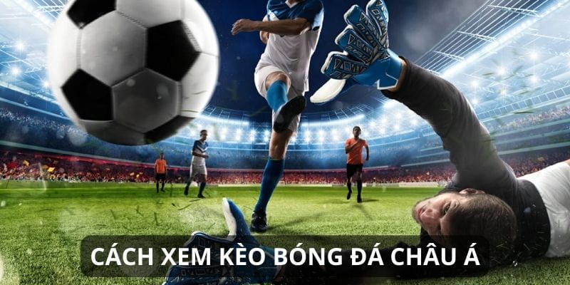 cách đọc kèo bóng đá Những lưu ý khi đọc kèo bóng đá