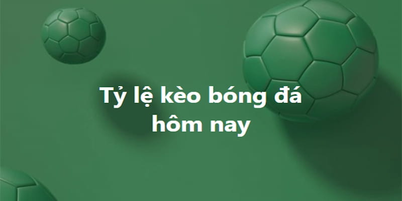 tỷ lệ kèo nhà cái Vai trò của Trang Cá Độ Bóng Đá trong phân tích tỷ lệ kèo nhà cái