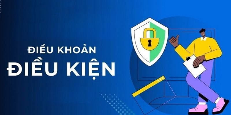 Vai trò quan trọng của điều kiện điều khoản trong hệ sinh thái cá cược